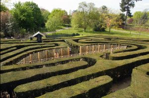 Maze Hampton Court Palace KidRated Reviews by kids and family offers Christmas London Walks Kidrated