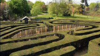 Maze Hampton Court Palace KidRated Reviews by kids and family offers