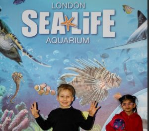 children k-rate London sealife aquarium Kidrated Top 15 Family Days Out For Animal Lovers