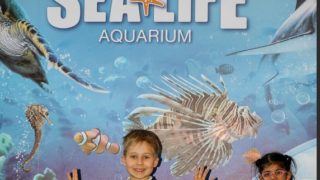 children k-rate London sealife aquarium