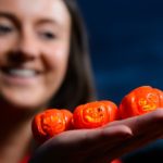 model maker holds tiny lego pumpkins in her hand