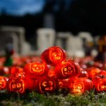 tiny lego pumpkin pile