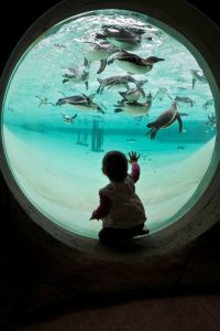 London Zoo KidRated review baby toddler friendly 