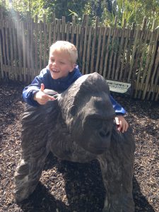 London Zoo KidRated review Gorilla Kingdom emily's one day itinerary