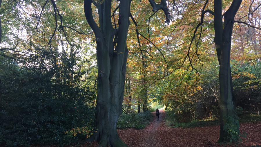 Kenwood House Hampstead Heath Autumn KidRated Family Days Out