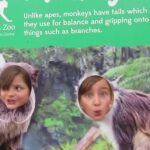 Twycross Zoo, Leiceistershire, zoo, animals, days out with kids, reviews by kids for you, kidrated, family