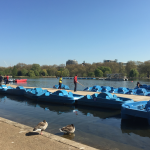 Hyde Park London KidRated reviews and family offers