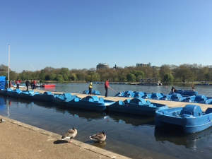 Row Serpentine Hyde Park London KidRated reviews and family offers Kensington Gardens Hyde Park Top 10 Things To Do Kidrated