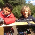 Go Ape Trent Park