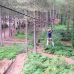 Go Ape KidRated reviews for kids family offers