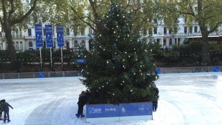 London Natural History Museum Ice Rink KidRated reviews by kids and family offers