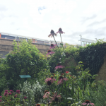 Geffrye Museum Garden