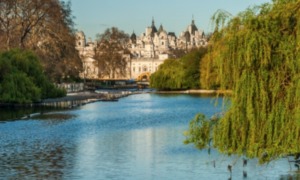 St James' Park Kidrated Guide To Military London