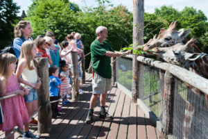 Discover the best cool, fun, and exciting things to do in London for older kids and teenagers 