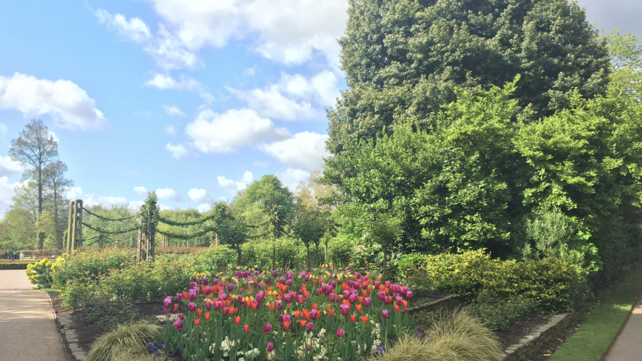 Regent's Park Park Life Bingo