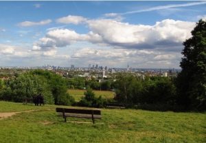 Hampstead Heath