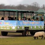 Willow Farm