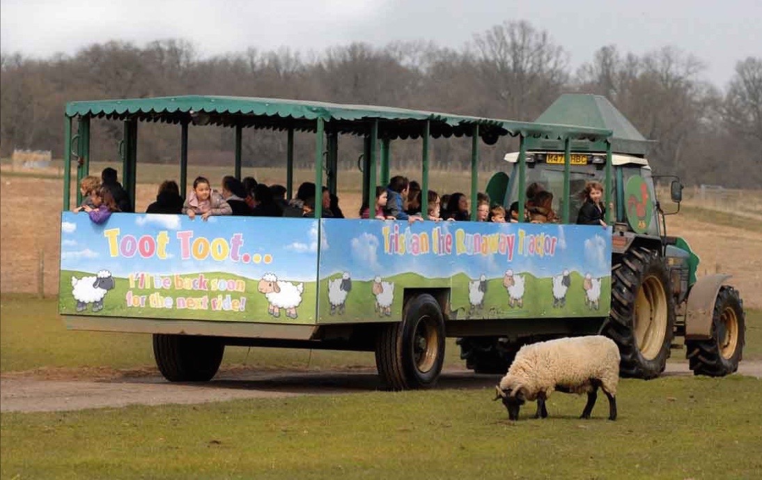 Willows Farm, St Albans UK KidRated Reviews and Offers