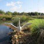 WWT London Wetland Centre