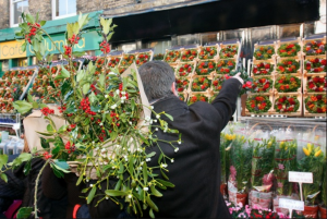 Columbia Road flower market christmas Kidrated Guide East London