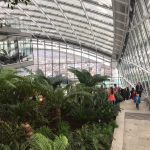 Sky Garden Walkie Talkie London KidRated Family Days Out