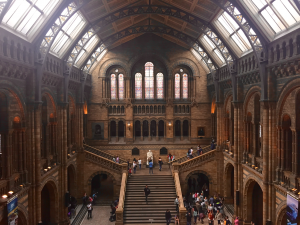 Natural History Museum Top 10 Things To Do In London On A Rainy Day Kidrated