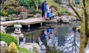 Holland Park Kyoto Gardens Kidrated Guide To 100 Quirky Things To Do In London