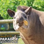 Paradise wildlife park