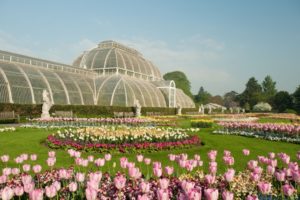 kew gardens palm house and tulips in spring an Kidrated Eleven Ways How To Travel The World In London