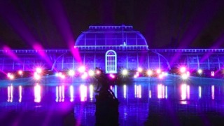 Christmas at Kew