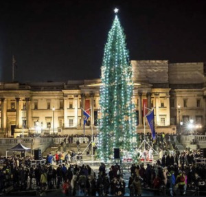 Christmas Tree In Trafalgar Square Kidrated 15 Things To Do At Christmas In London