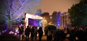 Dulwich Winter Lights Kidrated 15 Things To Do At Christmas In London