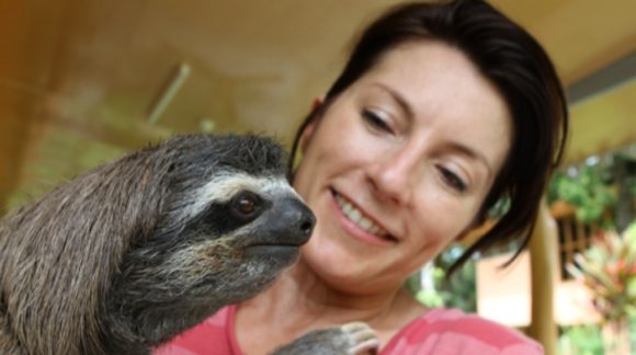 lucy cooke best days out sloth