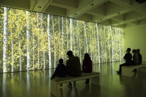 This mesmerising installation by Jennifer Steinkamp moves through all four seasons. Courtesy of Hayward Gallery. Photo: Linda Nylind