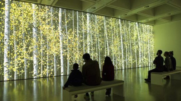 This mesmerising installation by Jennifer Steinkamp moves through all four seasons. Courtesy of Hayward Gallery. Photo: Linda Nylind