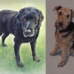 Fenella Willis - Dog Portraits - Remy and Milo