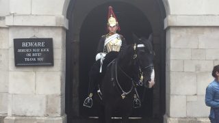 Horse Guards Parade reviews and family offers London days out kids