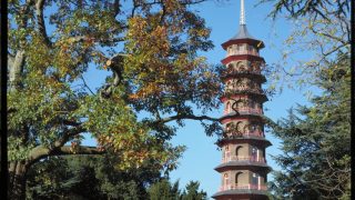 Kew Gardens' Pagoda Spring bluebells at Kew Gardens, an official K-Rated attraction KidRated Reviews Family offers kids