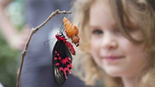 Horniman Museum KidRated