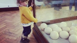 Horniman museum and gardens london