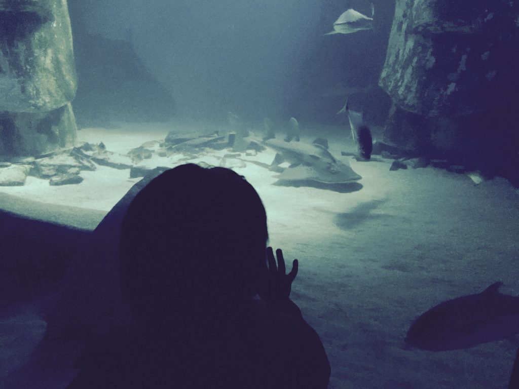 London Sea Life Aquarium