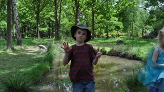 Isabella Plantation Richmond park London