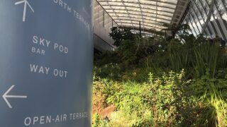 Sky Garden Walkie Talkie London KidRated Family Days Out
