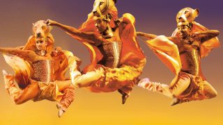 Lion King Lionesses