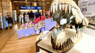 Natural History Museum