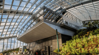 Sky Garden Walkie Talkie London KidRated Family Days Out