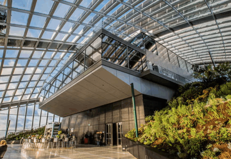 Sky Garden Walkie Talkie London KidRated Family Days Out