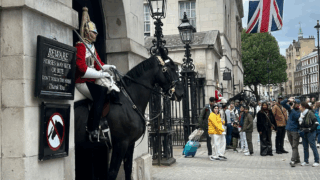 Visit the Household Cavalry Museum in London! See real horses, try on royal uniforms & explore history with kids.