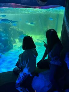 2 girls watching fish swim past in aquarium