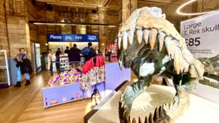 Nat history shop